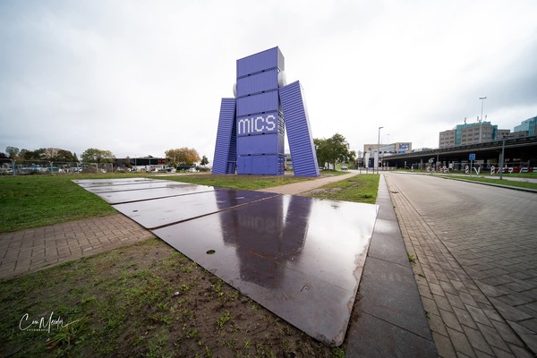 251117 MICS Jongeren Volwassenen